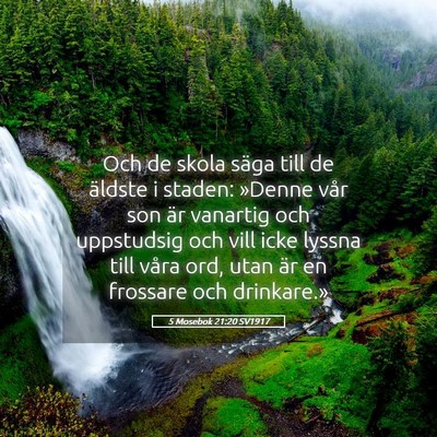 Picture 05 - 5 Mosebok 21:20 SV1917 - Och de skola säga till de äldste i staden: - Bible Verse Picture