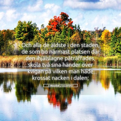 Picture 05 - 5 Mosebok 21:6 SV1917 - Och alla de äldste i den staden, de som bo - Bible Verse Picture