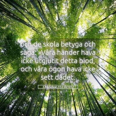 Picture 05 - 5 Mosebok 21:7 SV1917 - och de skola betyga och säga: »Våra händer - Bible Verse Picture