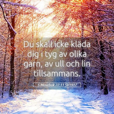 Picture 05 - 5 Mosebok 22:11 SV1917 - Du skall icke kläda dig i tyg av olika garn, av - Bible Verse Picture