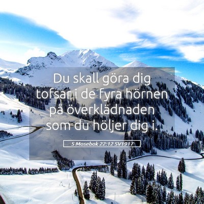 Picture 05 - 5 Mosebok 22:12 SV1917 - Du skall göra dig tofsar i de fyra hörnen på - Bible Verse Picture
