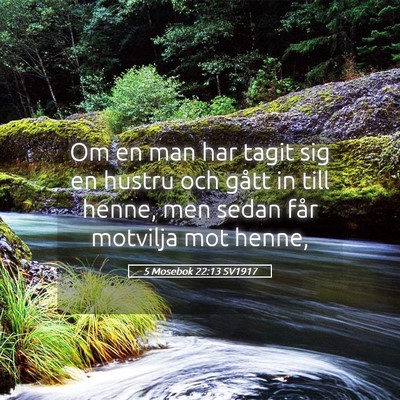 Picture 05 - 5 Mosebok 22:13 SV1917 - Om en man har tagit sig en hustru och gått in - Bible Verse Picture