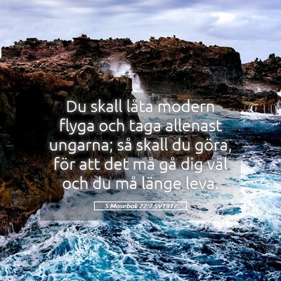 Picture 05 - 5 Mosebok 22:7 SV1917 - Du skall låta modern flyga och taga allenast - Bible Verse Picture