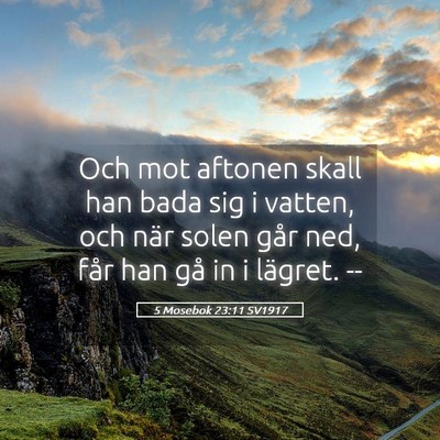 Picture 05 - 5 Mosebok 23:11 SV1917 - Och mot aftonen skall han bada sig i vatten, och - Bible Verse Picture