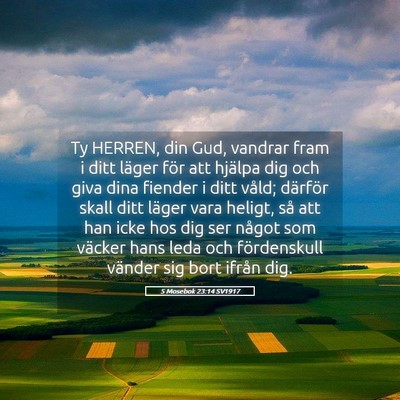 Picture 05 - 5 Mosebok 23:14 SV1917 - Ty HERREN, din Gud, vandrar fram i ditt läger - Bible Verse Picture