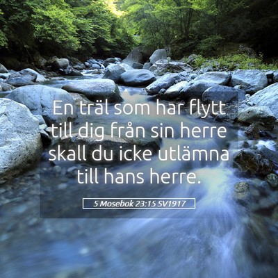 Picture 05 - 5 Mosebok 23:15 SV1917 - En träl som har flytt till dig från sin herre - Bible Verse Picture