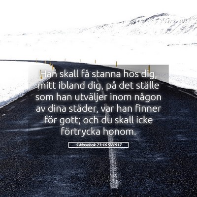 Picture 05 - 5 Mosebok 23:16 SV1917 - Han skall få stanna hos dig, mitt ibland dig, - Bible Verse Picture