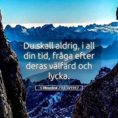 Picture 05 - 5 Mosebok 23:6 SV1917 - Du skall aldrig, i all din tid, fråga efter - Bible Verse Picture