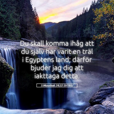 Picture 05 - 5 Mosebok 24:22 SV1917 - Du skall komma ihåg att du själv har varit en - Bible Verse Picture