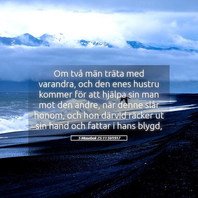Picture 05 - 5 Mosebok 25:11 SV1917 - Om två män träta med varandra, och den enes - Bible Verse Picture
