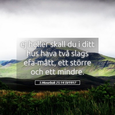 Picture 05 - 5 Mosebok 25:14 SV1917 - ej heller skall du i ditt hus hava två slags - Bible Verse Picture