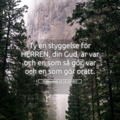 Picture 05 - 5 Mosebok 25:16 SV1917 - Ty en styggelse för HERREN, din Gud, är var och - Bible Verse Picture