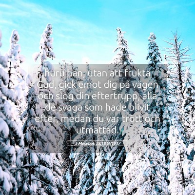 Picture 05 - 5 Mosebok 25:18 SV1917 - huru han, utan att frukta Gud, gick emot dig på - Bible Verse Picture