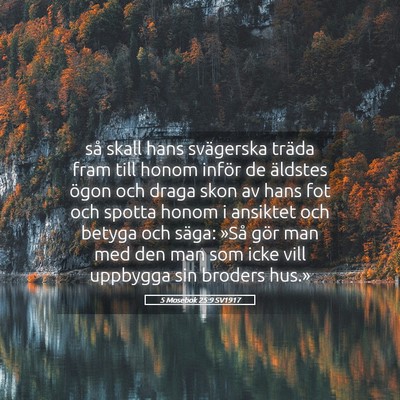 Picture 05 - 5 Mosebok 25:9 SV1917 - så skall hans svägerska träda fram till honom - Bible Verse Picture