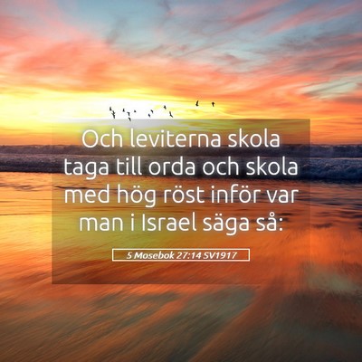 Picture 05 - 5 Mosebok 27:14 SV1917 - Och leviterna skola taga till orda och skola med - Bible Verse Picture