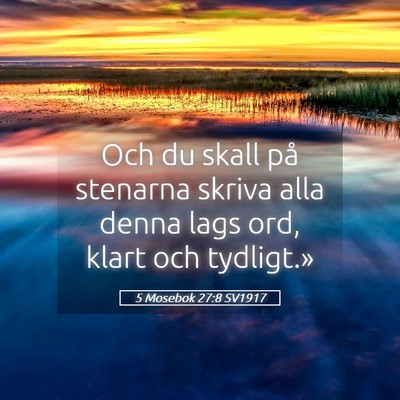 Picture 05 - 5 Mosebok 27:8 SV1917 - Och du skall på stenarna skriva alla denna lags - Bible Verse Picture