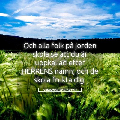 Picture 05 - 5 Mosebok 28:10 SV1917 - Och alla folk på jorden skola se att du är - Bible Verse Picture