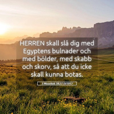 Picture 05 - 5 Mosebok 28:27 SV1917 - HERREN skall slå dig med Egyptens bulnader och - Bible Verse Picture