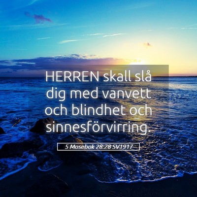 Picture 05 - 5 Mosebok 28:28 SV1917 - HERREN skall slå dig med vanvett och blindhet - Bible Verse Picture