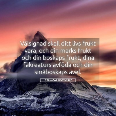 Picture 05 - 5 Mosebok 28:4 SV1917 - Välsignad skall ditt livs frukt vara, och din - Bible Verse Picture