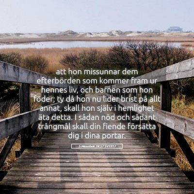 Picture 05 - 5 Mosebok 28:57 SV1917 - att hon missunnar dem efterbörden som kommer - Bible Verse Picture