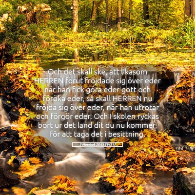 Picture 05 - 5 Mosebok 28:63 SV1917 - Och det skall ske, att likasom HERREN förut - Bible Verse Picture
