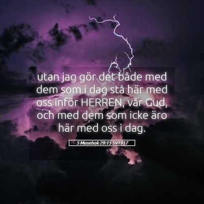 Picture 05 - 5 Mosebok 29:15 SV1917 - utan jag gör det både med dem som i dag stå - Bible Verse Picture