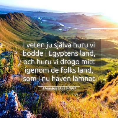 Picture 05 - 5 Mosebok 29:16 SV1917 - I veten ju själva huru vi bodde i Egyptens land, - Bible Verse Picture