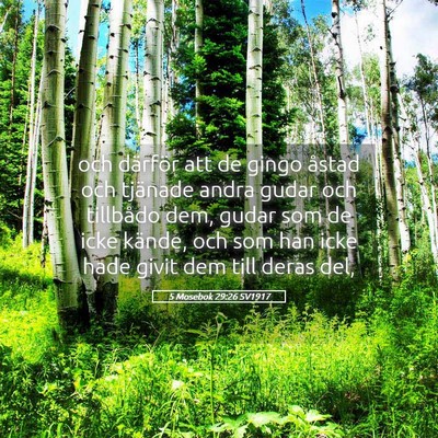 Picture 05 - 5 Mosebok 29:26 SV1917 - och därför att de gingo åstad och tjänade - Bible Verse Picture
