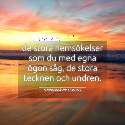 Picture 05 - 5 Mosebok 29:3 SV1917 - de stora hemsökelser som du med egna ögon såg, - Bible Verse Picture