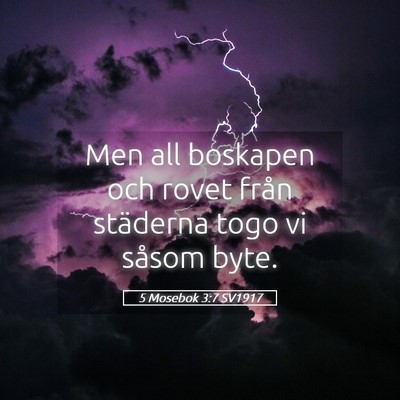 Picture 05 - 5 Mosebok 3:7 SV1917 - Men all boskapen och rovet från städerna togo - Bible Verse Picture