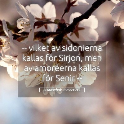 Picture 05 - 5 Mosebok 3:9 SV1917 - -- vilket av sidonierna kallas för Sirjon, men - Bible Verse Picture