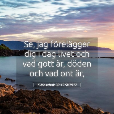 Picture 05 - 5 Mosebok 30:15 SV1917 - Se, jag förelägger dig i dag livet och vad gott - Bible Verse Picture