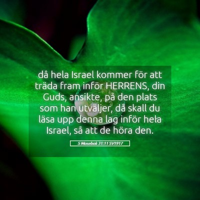Picture 05 - 5 Mosebok 31:11 SV1917 - då hela Israel kommer för att träda fram - Bible Verse Picture
