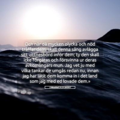 Picture 05 - 5 Mosebok 31:21 SV1917 - Och när då mycken olycka och nöd träffar dem, - Bible Verse Picture