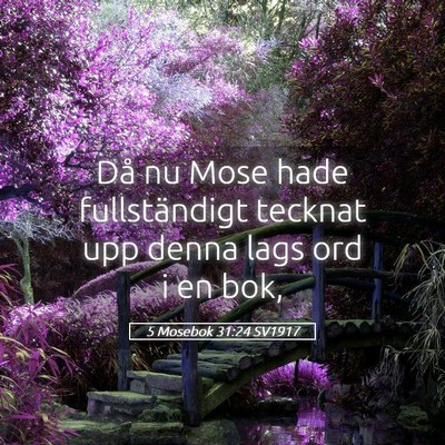Picture 05 - 5 Mosebok 31:24 SV1917 - Då nu Mose hade fullständigt tecknat upp denna - Bible Verse Picture