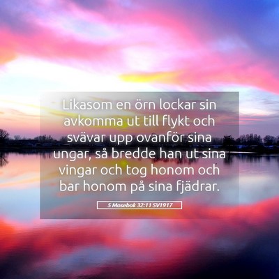 Picture 05 - 5 Mosebok 32:11 SV1917 - Likasom en örn lockar sin avkomma ut till flykt - Bible Verse Picture