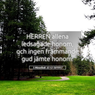 Picture 05 - 5 Mosebok 32:12 SV1917 - HERREN allena ledsagade honom, och ingen - Bible Verse Picture