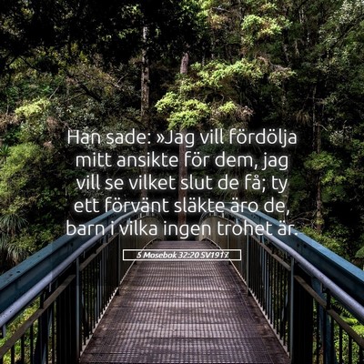 Picture 05 - 5 Mosebok 32:20 SV1917 - Han sade: »Jag vill fördölja mitt ansikte för - Bible Verse Picture