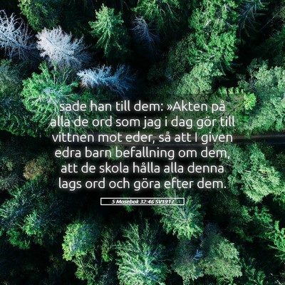 Picture 05 - 5 Mosebok 32:46 SV1917 - sade han till dem: »Akten på alla de ord som - Bible Verse Picture