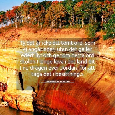 Picture 05 - 5 Mosebok 32:47 SV1917 - Ty det är icke ett tomt ord, som ej angår eder, - Bible Verse Picture