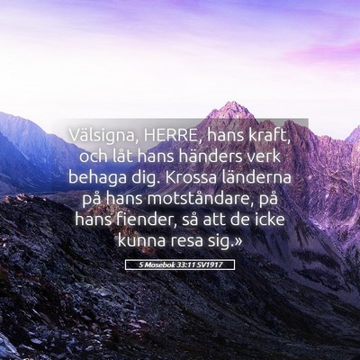 Picture 05 - 5 Mosebok 33:11 SV1917 - Välsigna, HERRE, hans kraft, och låt hans - Bible Verse Picture