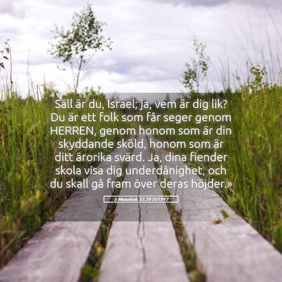 Picture 05 - 5 Mosebok 33:29 SV1917 - Säll är du, Israel; ja, vem är dig lik? Du är - Bible Verse Picture