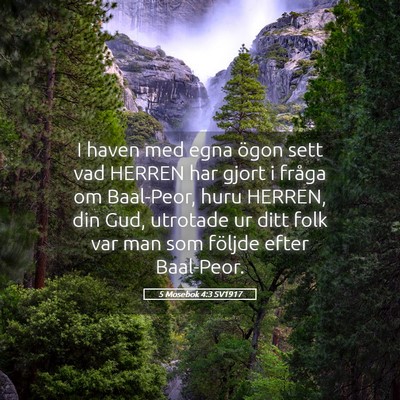 Picture 05 - 5 Mosebok 4:3 SV1917 - I haven med egna ögon sett vad HERREN har gjort - Bible Verse Picture