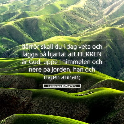 Picture 05 - 5 Mosebok 4:39 SV1917 - därför skall du i dag veta och lägga på - Bible Verse Picture