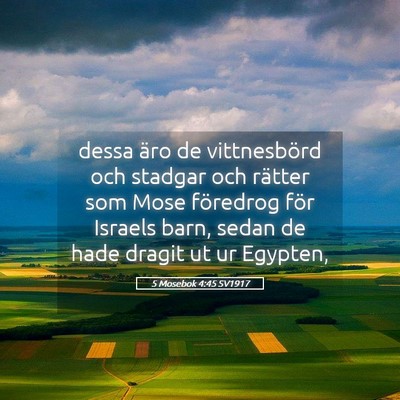 Picture 05 - 5 Mosebok 4:45 SV1917 - dessa äro de vittnesbörd och stadgar och - Bible Verse Picture