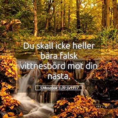 Picture 05 - 5 Mosebok 5:20 SV1917 - Du skall icke heller bära falsk vittnesbörd mot - Bible Verse Picture