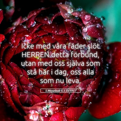 Picture 05 - 5 Mosebok 5:3 SV1917 - Icke med våra fäder slöt HERREN detta - Bible Verse Picture