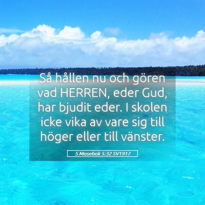 Picture 05 - 5 Mosebok 5:32 SV1917 - Så hållen nu och gören vad HERREN, eder Gud, - Bible Verse Picture