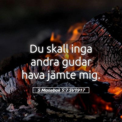 Picture 05 - 5 Mosebok 5:7 SV1917 - Du skall inga andra gudar hava jämte - Bible Verse Picture